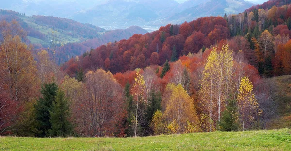 Осенний пейзаж в горах — стоковое фото