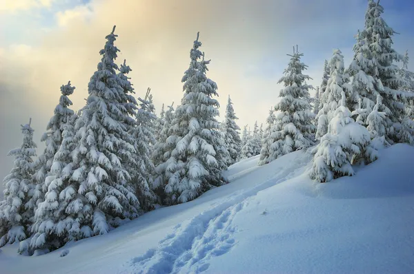 Krajobraz zimowy Zdjęcia Stockowe bez tantiem