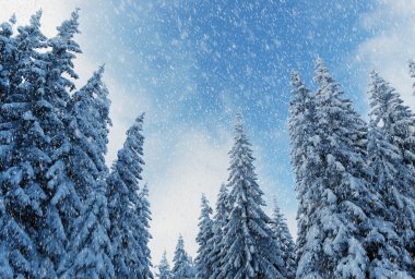 Winter landscape clipart