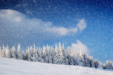 Winter background clipart