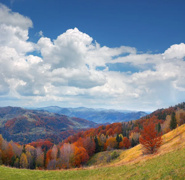 Dağlarda sonbahar manzarası — Stok fotoğraf