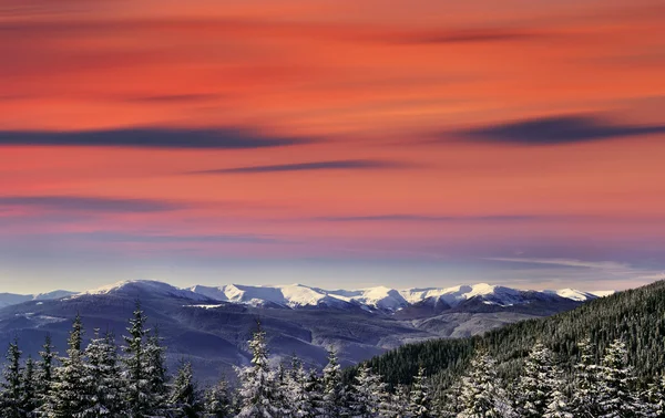 Зимовий пейзаж в горах — стокове фото