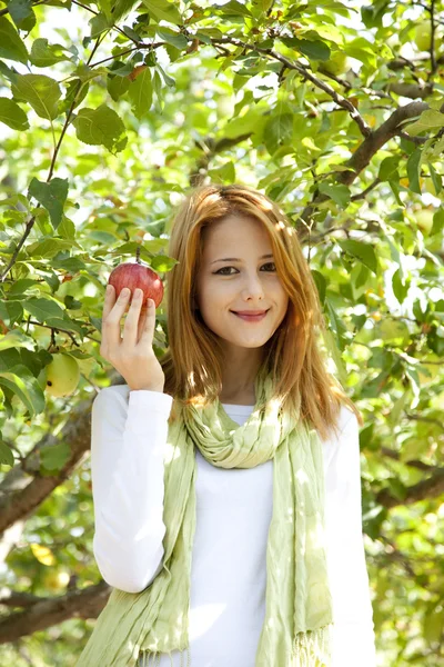 Mulher ruiva jovem bonita de pé perto da árvore da maçã . — Fotografia de Stock