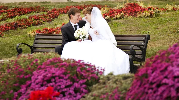 Young just married couple sitting close to each other on bench i — Stock Photo, Image