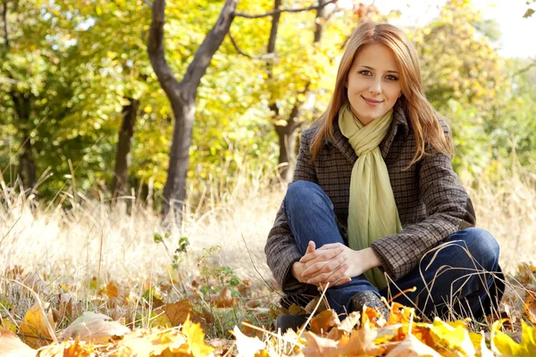 Retrato de chica pelirroja en el parque de otoño — Foto de Stock