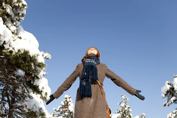Schöne junge rothaarige Frau im Winterpark — Stockfoto