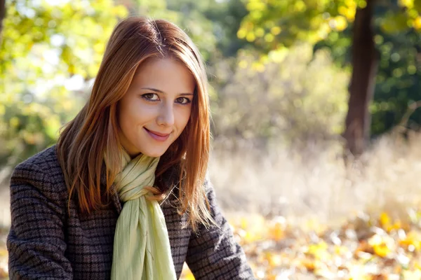 Portrait of red-haired girl in the autumn park Royalty Free Stock Photos
