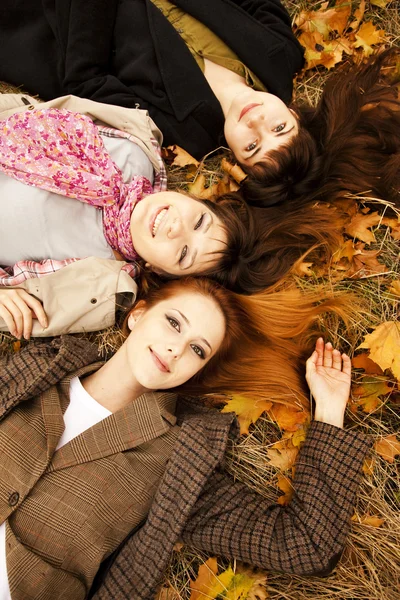 Dos chicas en el parque de otoño . —  Fotos de Stock