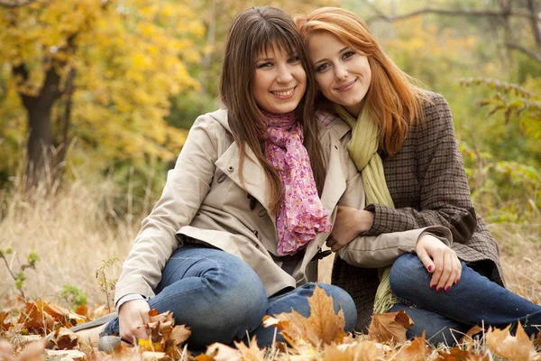 Dvě dívky v podzimním parku. — Stock fotografie