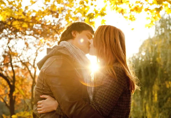 Пара поцелуев в парке на закате — стоковое фото