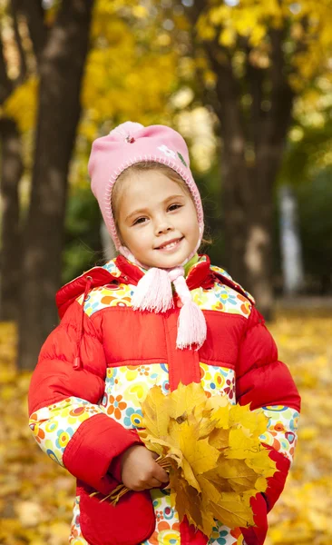 Kind in herfst park. — Stockfoto