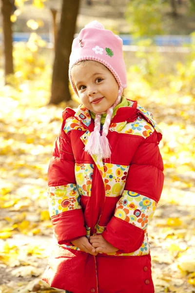 Niño en el parque de otoño . —  Fotos de Stock