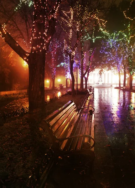 Bench ışıkları ile gece sokakta — Stok fotoğraf