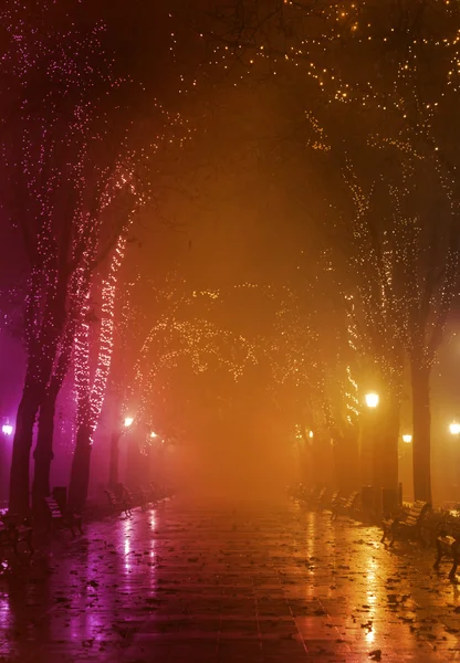 Скамейка в ночной аллее в Одессе, Украина — стоковое фото
