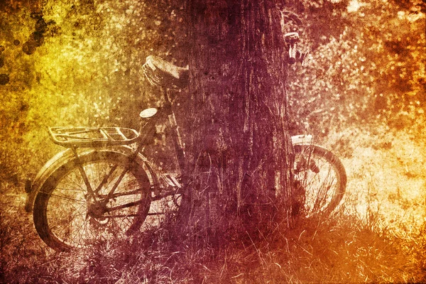Cykel nära träd. — Stockfoto