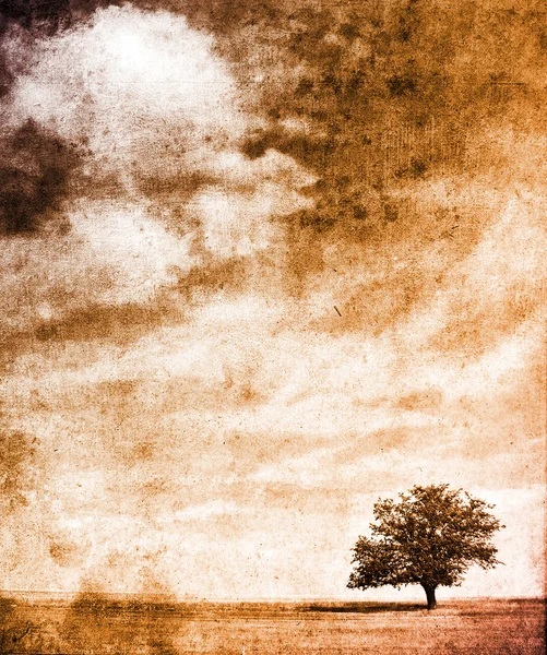 V poli letní strom — Stock fotografie
