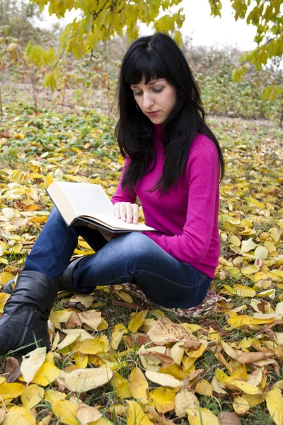 Piękna kobieta czyta książkę — Zdjęcie stockowe