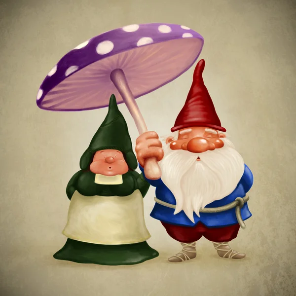 Ehegatten Gnome — Stockfoto