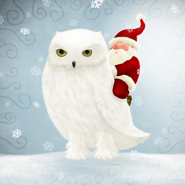 Weihnachtsmann reitet weiße Eule — Stockfoto