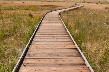 Boardwalk clipart