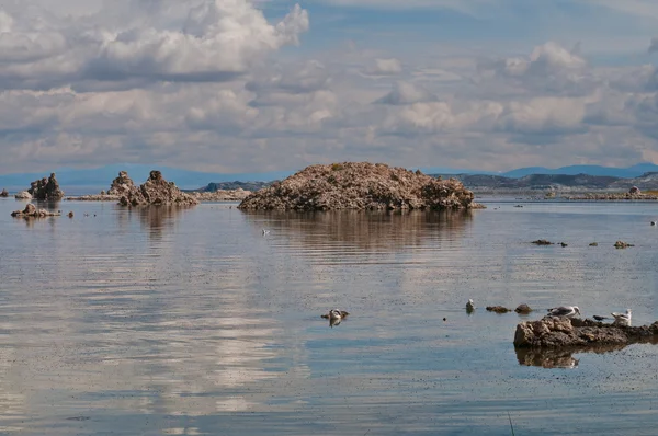 Mono Lake — Stockfoto