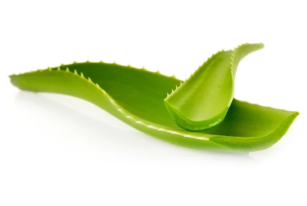 Aloe leaf — Stock Photo, Image