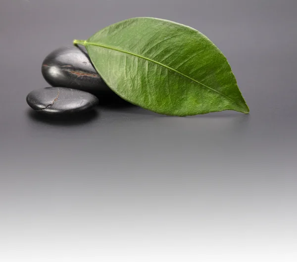 Черные камни с листьями — стоковое фото