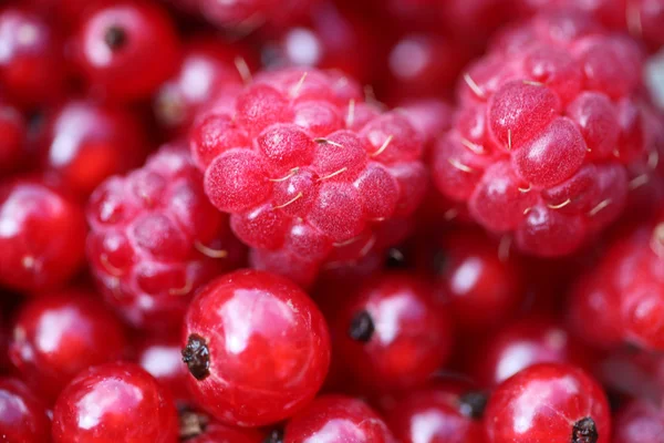 stock image Raspberry closeup