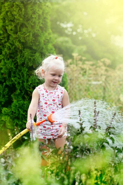 Маленька дівчинка поливає траву в саду — стокове фото