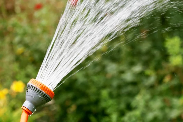 Sprinkler vattning i trädgården — Stockfoto