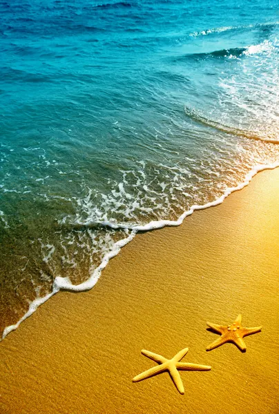 Морские звезды на песке и волнах — стоковое фото