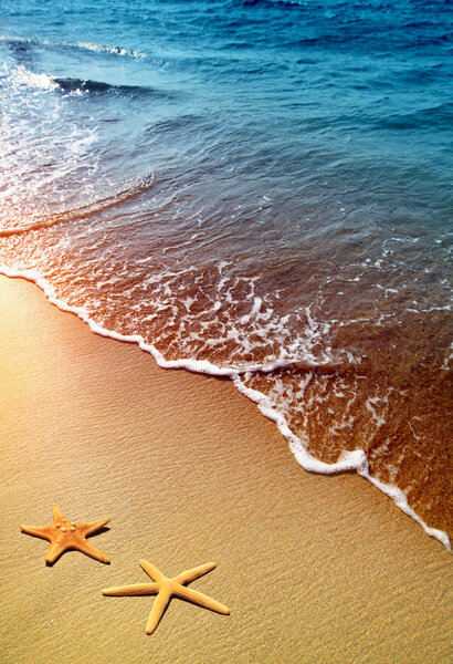 Starfish on sand and wave