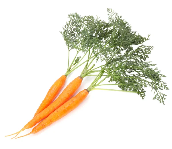 Orange carrots with green leaves isolated over white — Stock Photo, Image