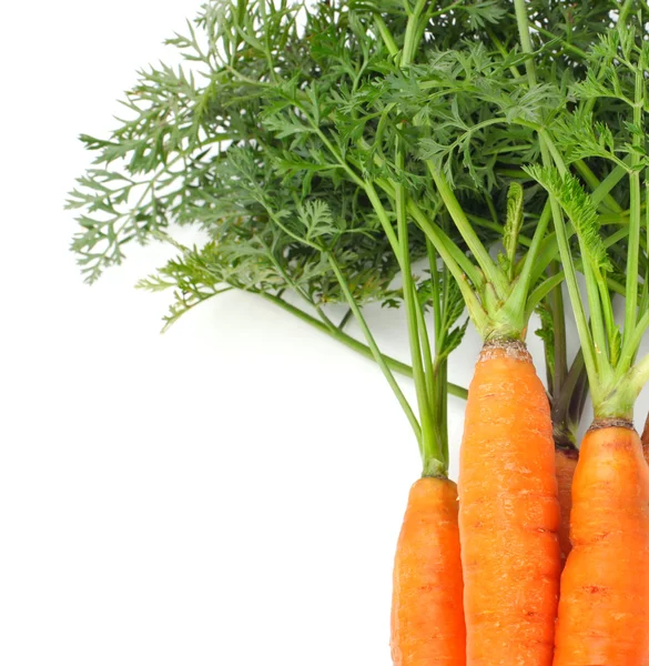 Orange carrots with green leaves isolated over white — Stock Photo, Image