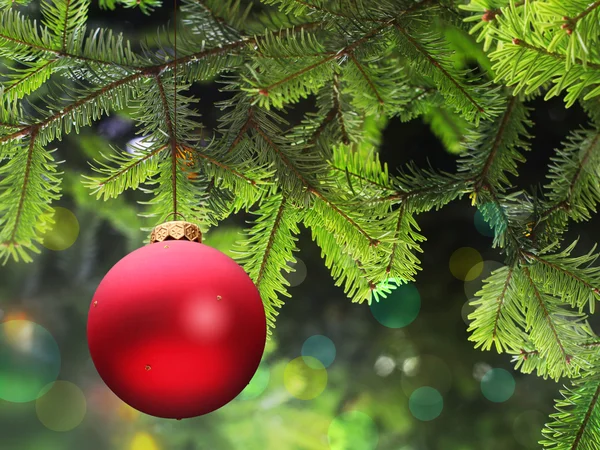 Kerstmis bal en groene sparren branch — Stockfoto