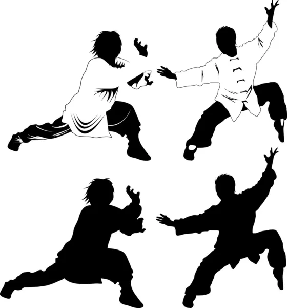 Kung-fu de l'ombre — Image vectorielle