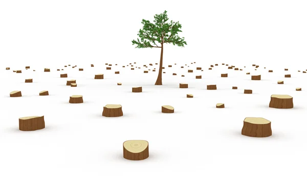Avskogning koncept — Stockfoto