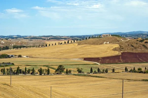 Krajobraz w Toskanii — Zdjęcie stockowe