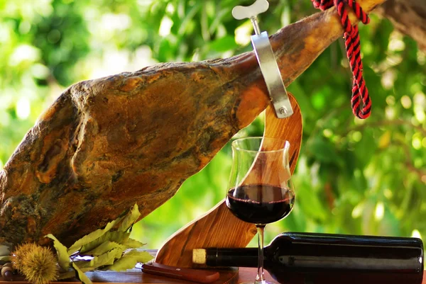 Jamon of spain and red wine. — Stock Photo, Image