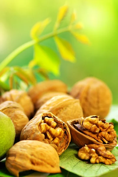 Gebroken noten op groene achtergrond. — Stockfoto