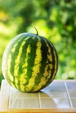 Watermelon on table isolated on green background clipart