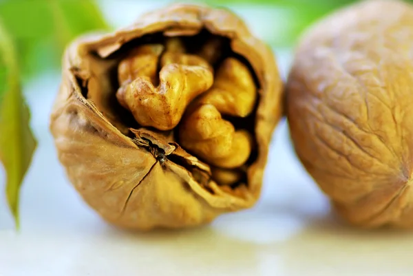 Closeup of broken walnut — Stock Photo, Image