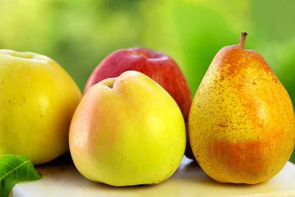 Päron och äpplen. — Stockfoto