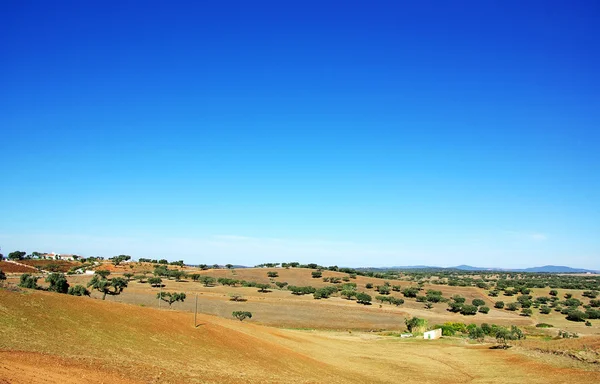 Landschaft des Alentejo-Feldes. — Stockfoto