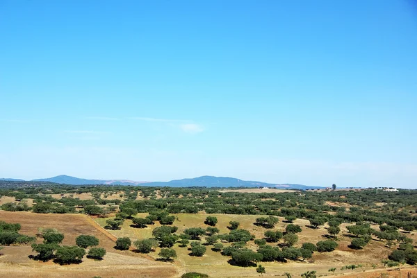 Krajobraz pola Alentejo. — Zdjęcie stockowe