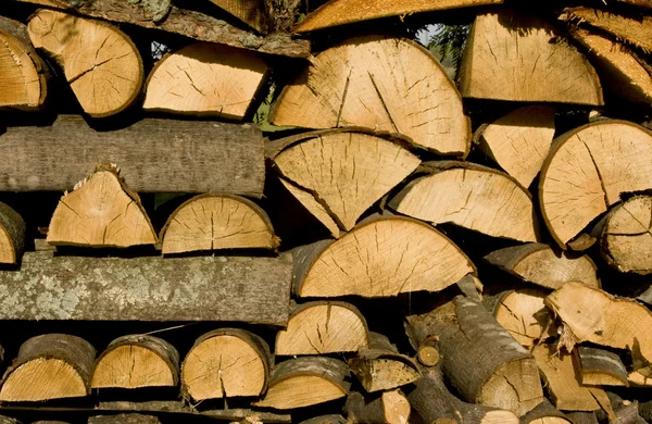 Leña troncos fondo — Foto de Stock