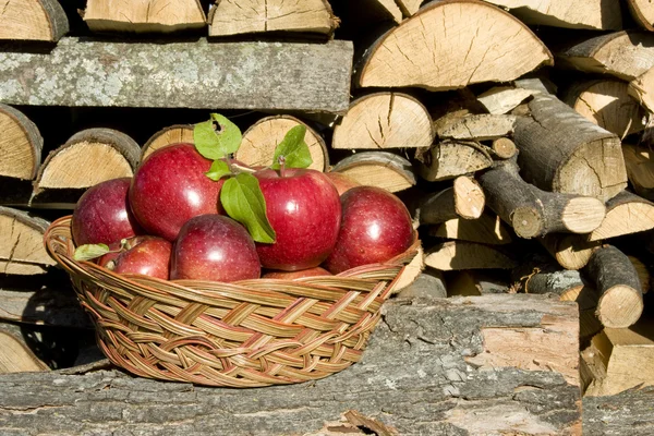 Manzanas recogidas en cesta —  Fotos de Stock