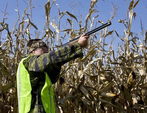 Cazador de aves de otoño en un campo de maíz — Foto de Stock