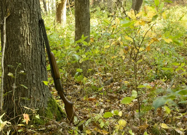 Shotgun in fall — Stock Photo, Image
