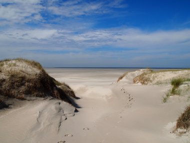 een van de stranden van terschelling, Nederland